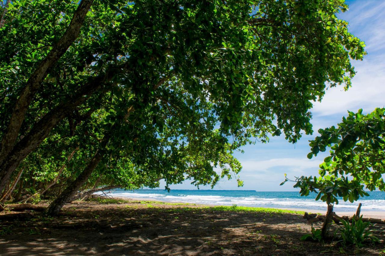 Hotel Sunshine Caribe Puerto Viejo de Talamanca 외부 사진