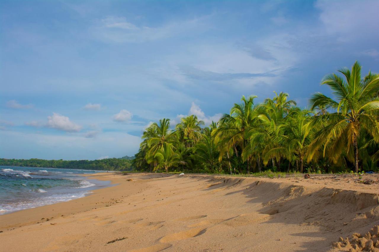 Hotel Sunshine Caribe Puerto Viejo de Talamanca 외부 사진