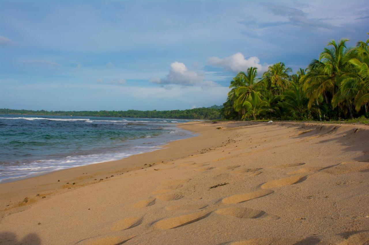 Hotel Sunshine Caribe Puerto Viejo de Talamanca 외부 사진