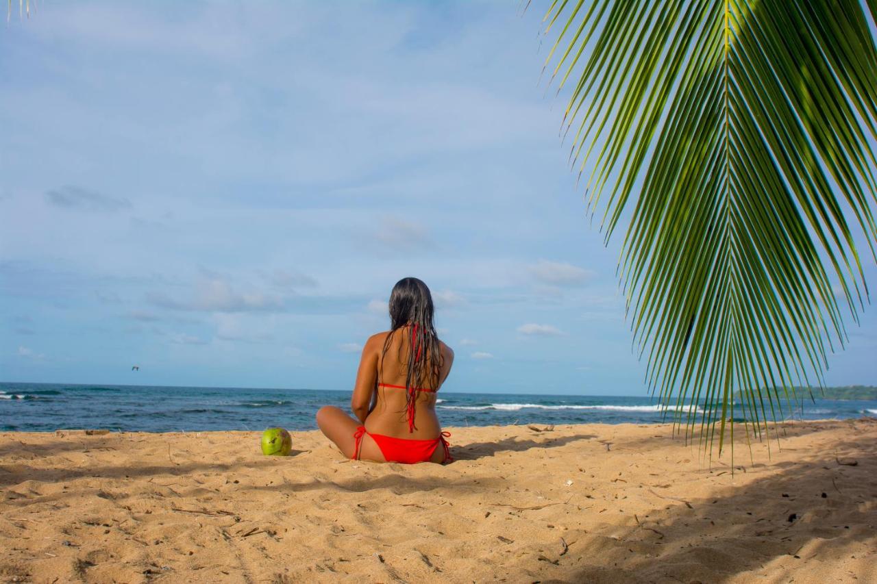 Hotel Sunshine Caribe Puerto Viejo de Talamanca 외부 사진