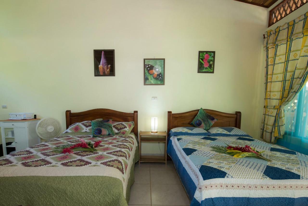Hotel Sunshine Caribe Puerto Viejo de Talamanca 외부 사진